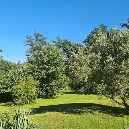 Studio A La Campagne Sans Vis A Vis Boulin Luaran gambar